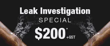 Leak Investigation Discount Glen Eden