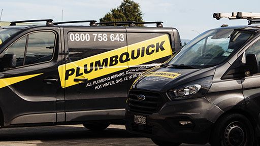 Professional Glen Eden Plumbers